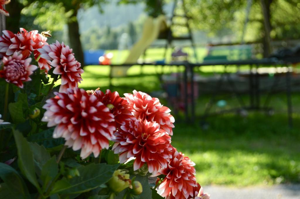 Pension Grafengut ラートシュタット エクステリア 写真